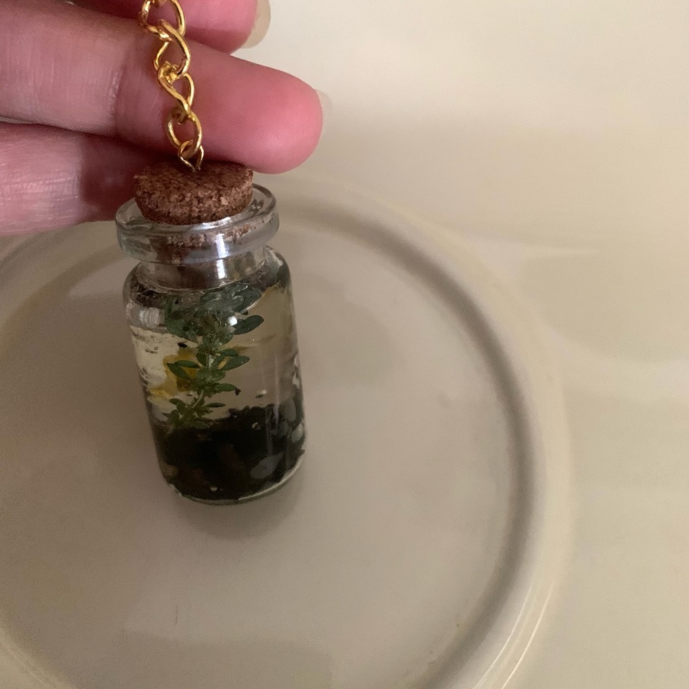 Keychain-Plants - Picture 2 of 4